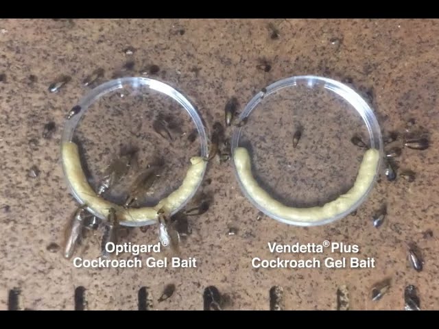 Package Optiguard Cockroach Gel 120g