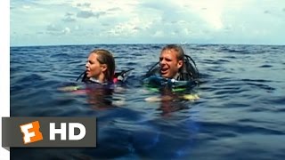 Open Water (3/11) Movie CLIP - Left Behind (2003) HD