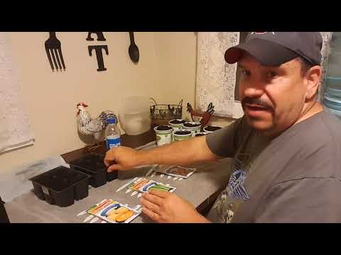 Who is Better,,, Burpee Ferry morse or Dollar General...