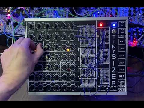 Anyware Instruments Tinysizer full analog modular synthesizer * rare ! image 10