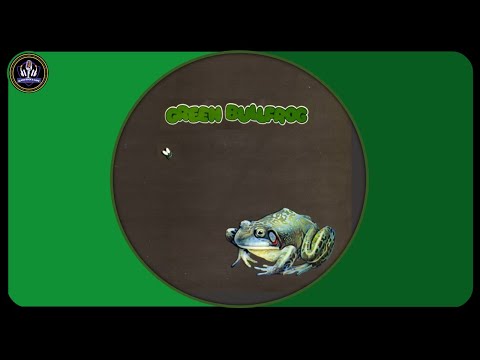 Ad Hoc - Green Bullfrog * 1970
