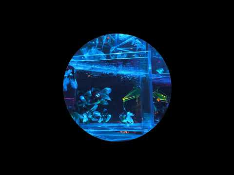 [FREE] Népal x Ateyaba x Nekfeu Type Beat : " Sous-Marin " (prod by @yᴀng)