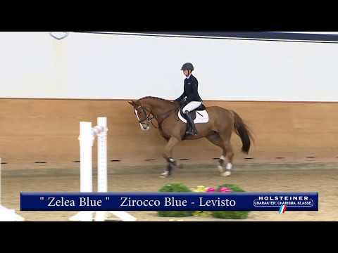 134 | Zelea Blue v. Zirocco Blue - Levisto