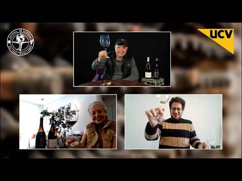 Los Vinos Cardinales capítulo 25