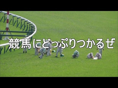 2016・複勝10万円勝負＃24・オークス　JAPANESE OAKS