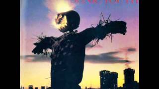 Sonic Youth - Flower