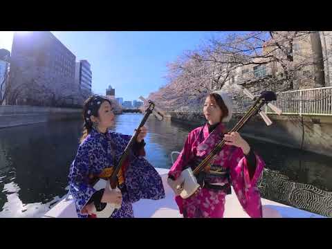 Shamisen Under The Cherry Blossoms [Sakura Original Version] - Ki&Ki 輝&輝 津軽三味線 [4K]