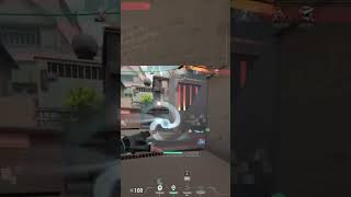 Spotlight Clip