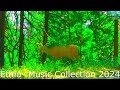 Ethio Music Collection 2024
