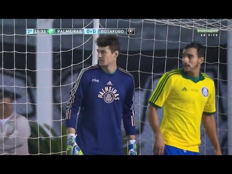 Palmeiras 0x2 Botafogo - Campeonato Brasileiro 2014