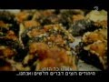 נשלח על ידי מינהלת-האתר בתאריך Mon Feb 20 2012 ב- 09:22am