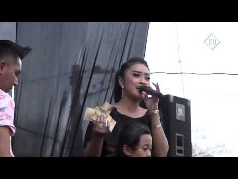 Gerry Mahesa ft Anisa Rahma _ Delima _ new pallapa live The Gress 2018