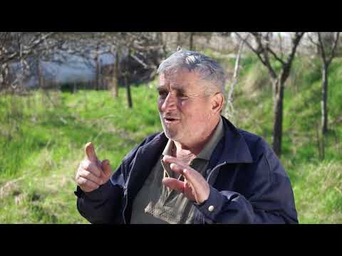 Autohtone vrste Srbije ep. 15 30.05.2019. Požegača