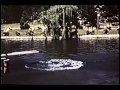 Hot Springs Arkansas 1939 in full color documentary ...