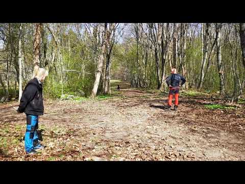 Daija, Jaktlust/Förföljande