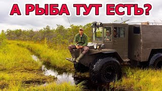 Клев щуки в сентябре на озере