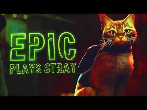 What's Your Favorite Cat Breed? | Epic Plays Stray Ep. 3