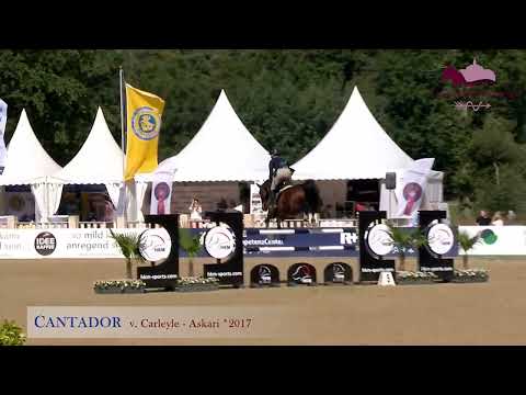 Cantador v. Carleyle - Askari - Contender