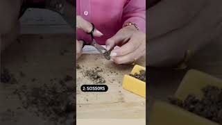 Download lagu Ways to grind your flower without a grinder 🔪 #shorts #grinding #cannabis #houseofpuff mp3 Download lagu Ways to grind your flower without a grinder 🔪 #shorts #grinding #cannabis #houseofpuff mp3