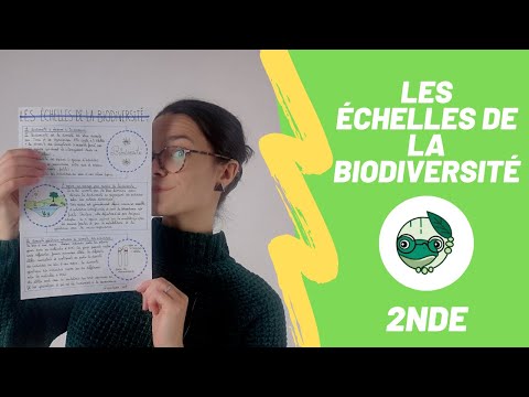 Les échelles de la biodiversité - 2nde - Madame SVT