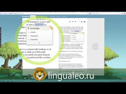 Видеообзор Lingualeo