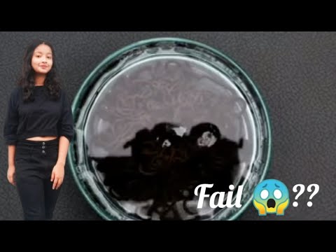 I tried chocolate🍫viral hacks Fail😱 or Pass