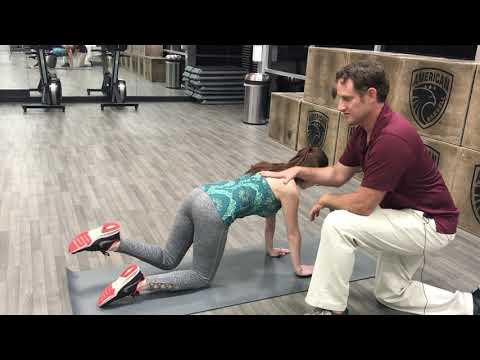 Opposite Hand & Knee Lifts for Back Relief!