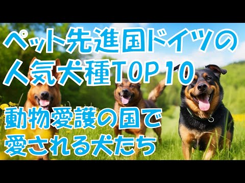 ドイツで最も人気のある犬種