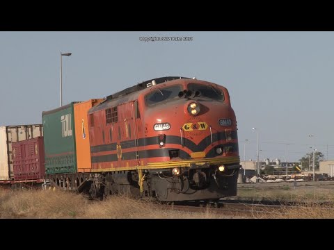EMD Streamliners & Twin EL's - Standard Gauge Trains of Adelaide
