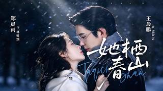 【最新】王晨鹏❤️郑晨雨《她栖春山》他以为是一见钟情，其实是她漫长暗恋终于窥见天光！#都市 #豪门 #短剧 #全集 #cdrama