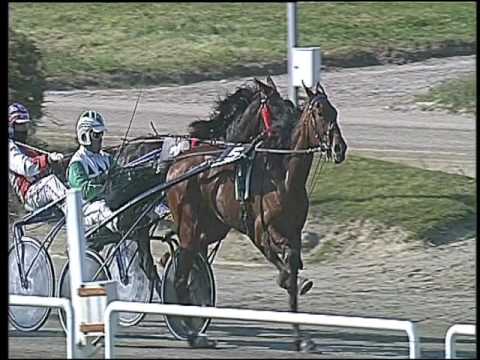 Trotto 10/03/2017 - 1ª corsa