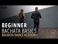 Bachata Beginner Basic Steps Tutorial Demetrio Nicole Bachata Dance Academy