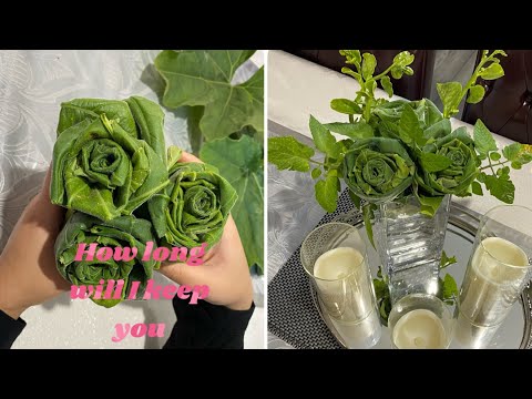 Make your own decoration from natural materials. Flowers / roses made from bottle gourd leaf 🍁