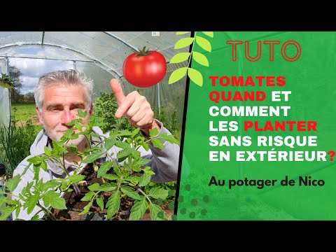 , title : 'La plantation des tomates 🍅, quelle date et comment? En extérieur et sous serre.'