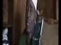 BARAKA MOHAMMED SHAMTE 9 9 JUU YA MUUNGANO NA UKOMBOZI WA ZANZIBAR