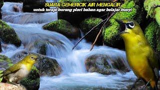 Download lagu TERAPI BURUNG PLECI BAHAN AGAR RAJIN NGERIWIK DAN SUARA GEMERICIK AIR MENGALIR mp3