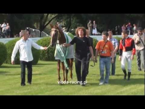 Gon. V (N. St. Leger) - 28.08.2011 - Intens (Belenus - Inicjatywa)