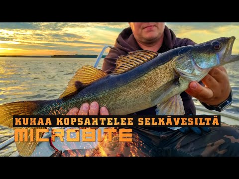 Nyt kopsahtelee / Kuhaa selkävesiltä