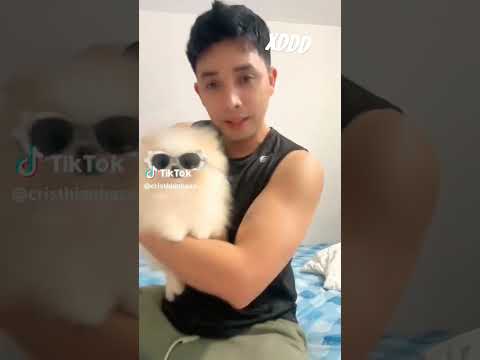 Esa perra no pierde la esperanza de ser yeri mua