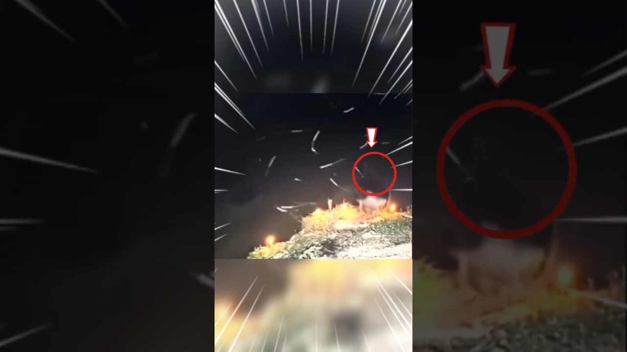 その男は湖で魚を捕まえようとしていたとき、予期せぬ出来事に遭遇した。😱😱