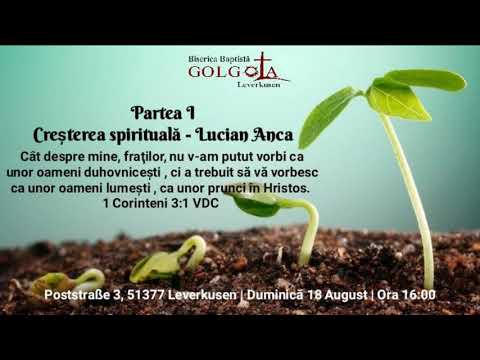Anca Lucian - Cresterea spirituala partea 1