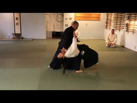 Aikido: Aiki-Otoshi (Atemi Variation)