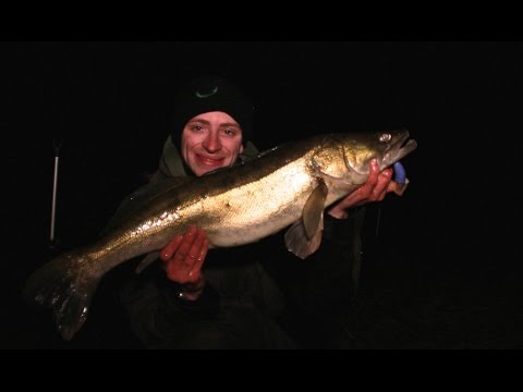 Der fiskes efter sandart og gedder i en engelsk å