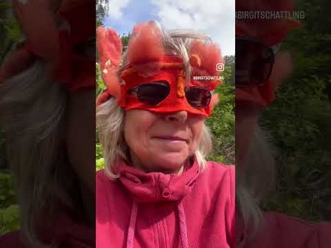 Red squirrels crossing