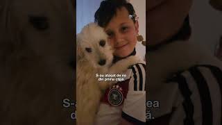 #PetStory: un sezon, 9 vieți schimbate  #digi24