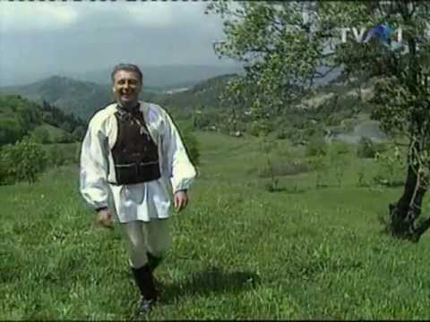 Nicolae Furdui-Iancu : Când m-ajunge cât-un dor