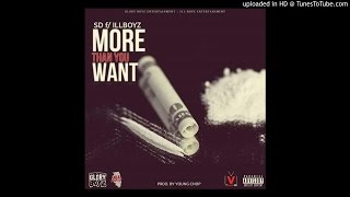SD Ft. South & Blunt B - More Than You Want