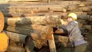 Превью видео: Загружаем трубы 219 бу в тентованную фуру | СтройГеоРесурс