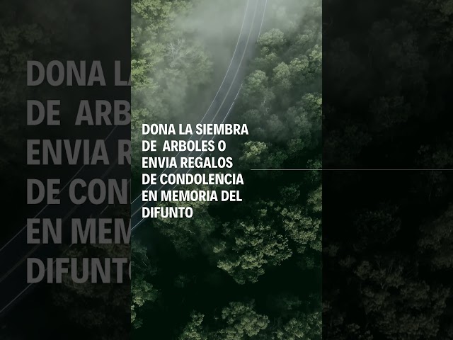 Vídeo relacionado con Árbol de la vida, libro de condolencias funerarias, páginas interiores informales en blanco, en caja, blanco, tamaño 218 x 160 mm
