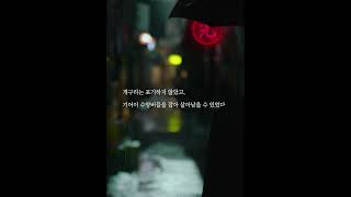 [Bi-Gwang] Launch Trailer